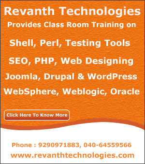 SEO Online Training from India